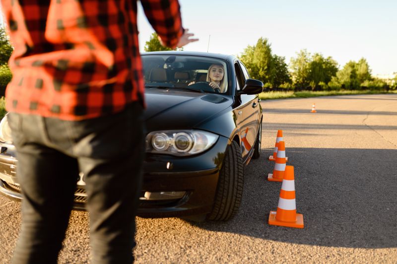 Enhanced Driving Skills